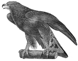 golden eagler engraving