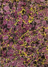 purple, yellow and black spotted marbled endpaper