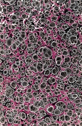 purple, white and black spotted marbled endpaper