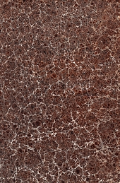 brown and white spotted marbled endpaper