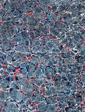 blue, white and red spotted marbled endpaper