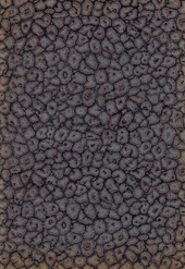 black and brown spotted marbled endpaper