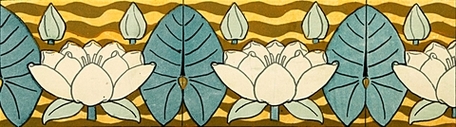 waterlily image 4