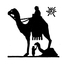 camel image
