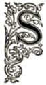 Initial S engraving