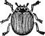 Lady Bug engraving