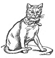 sitting cat engraving