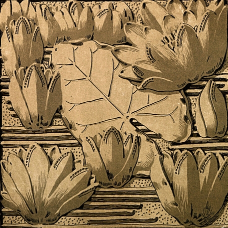 waterlily image 3