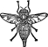 Horse Fly engraving