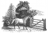horse and gate engraving