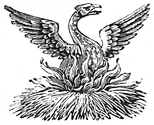 Phoenix engraving
