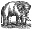 white elephant engraving